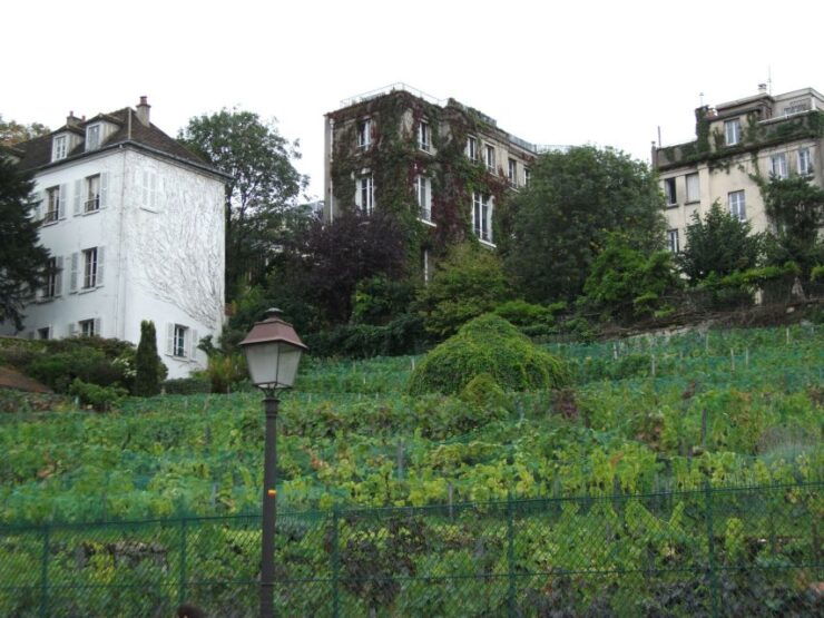 Paris: Montmartre Private Walking Tour - Activity Overview