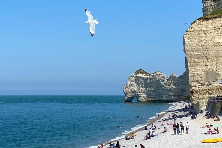Paris: Normandy Rouen, Honfleur and Etretat Small-Group Tour - Highlights of Normandy
