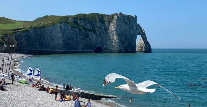 Paris: Normandy Rouen, Honfleur and Etretat Small-Group Tour - Exploring Honfleur