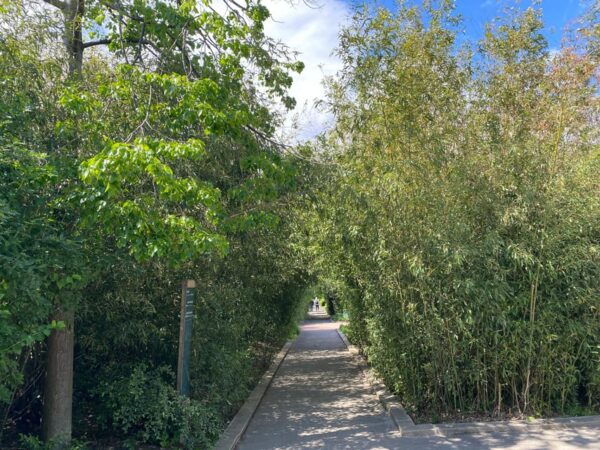 Paris off the Beaten Path - Treasure Hunt Along Coulée Verte - Tips for a Great Experience