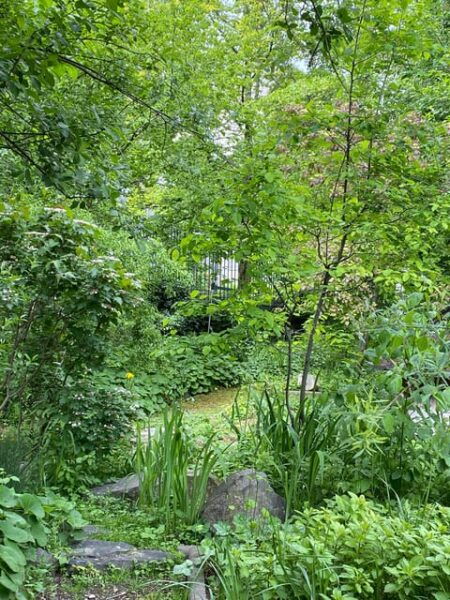 Paris off the Beaten Path - Treasure Hunt Along Coulée Verte - Weather and Cancellation Policies