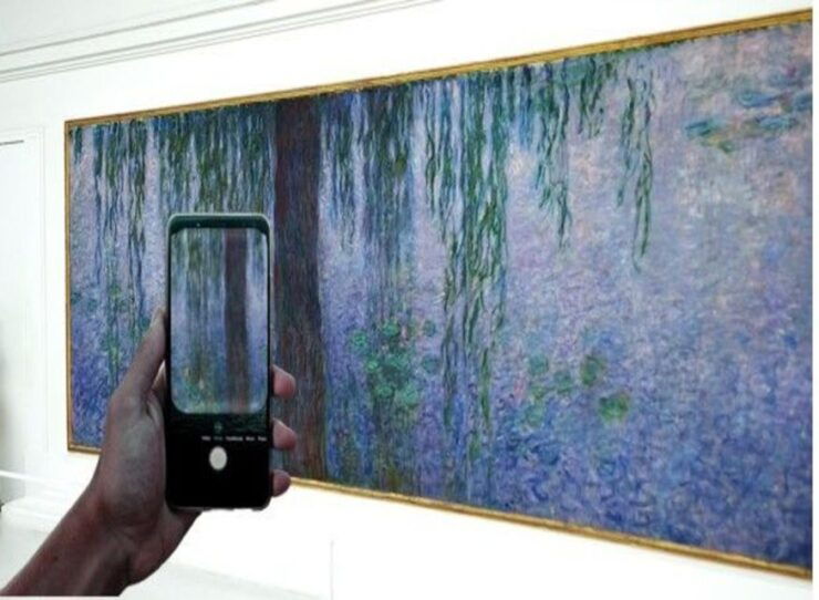 Paris: Orangerie Museum Skip-the-Line Ticket and Audio Tour - Experience Highlights