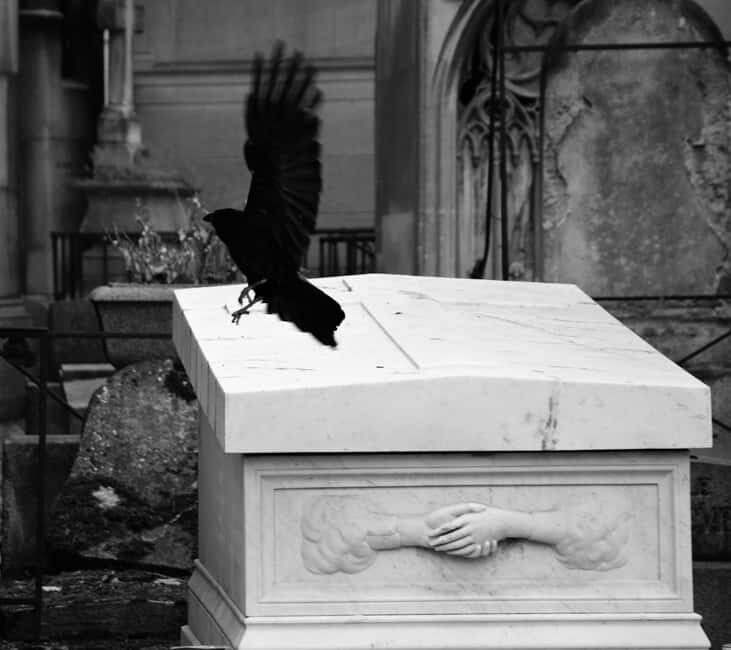 Paris: Père Lachaise Cemetery Guided Tour in Polish - A Walk Through History and Culture