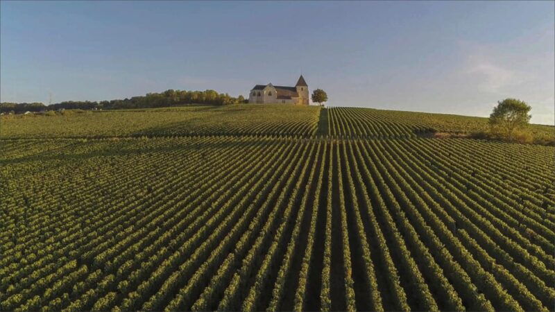 Paris: Private Chauffeur-Driven Champagne Region Day Trip - Good To Know