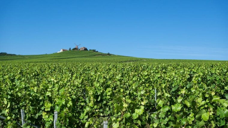 Paris: Private Chauffeur-Driven Champagne Region Day Trip - Key Stops Along the Route