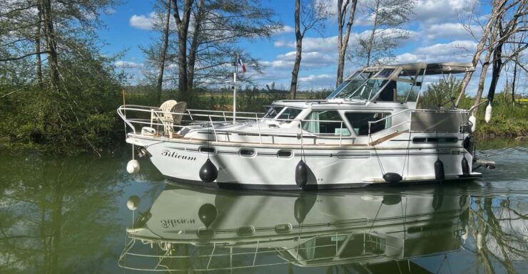 Paris: Private Cruise on the Seine - Experience and Itinerary