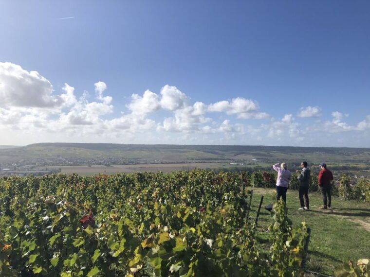 Paris: Private Day Trip to Champagne With 8 Tastings & Lunch - Tasting Experience