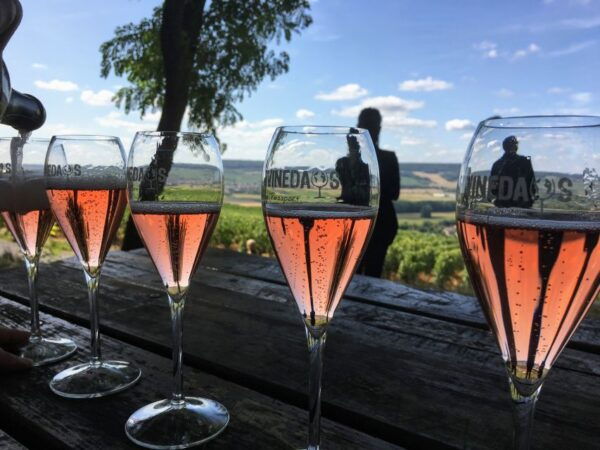 Paris: Private Day Trip to Champagne With 8 Tastings & Lunch - Review 3