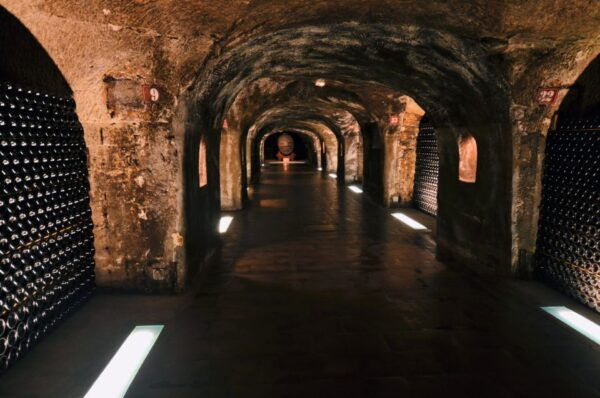 Paris: Private Day Trip to Champagne With 8 Tastings & Lunch - Product Information