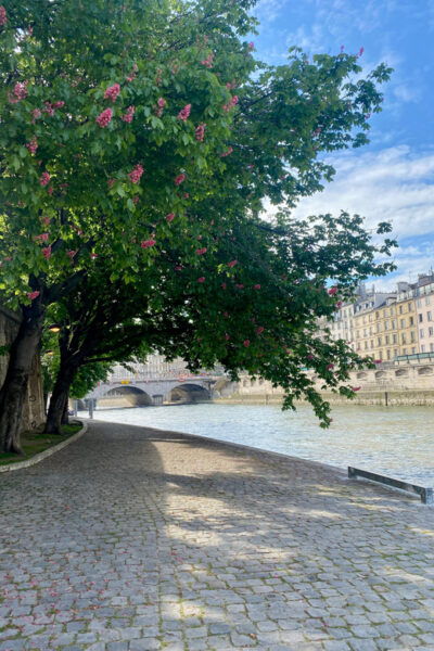 Paris: Private Early Morning City Walking Tour - Accessibility Considerations