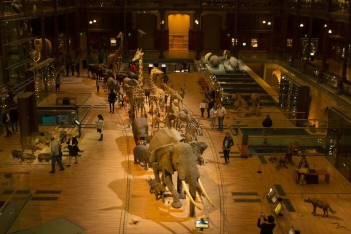 Paris: Private Family Tour, Highlights and Museum Visit - Included Amenities and Features
