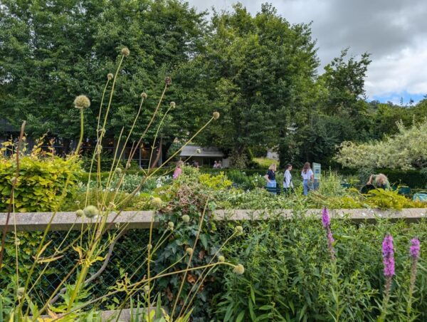 Paris: Private Round-Trip Transfer to Giverny - Tips for Your Trip to Giverny