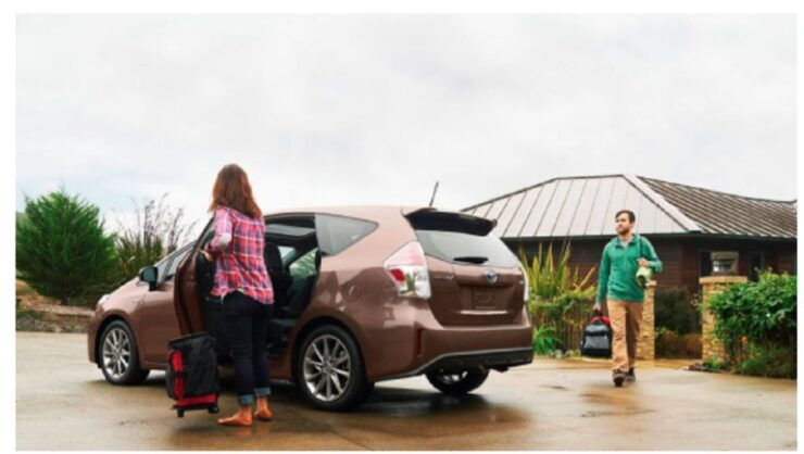 Paris: Private Transfer From CDG Airport to Disneyland - Transfer Details