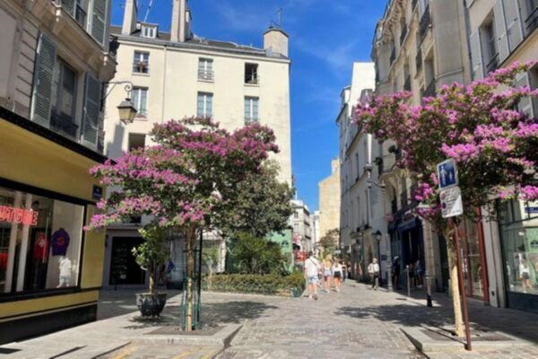 Paris - Private Walking Food Tour Le Marais - The Sum Up