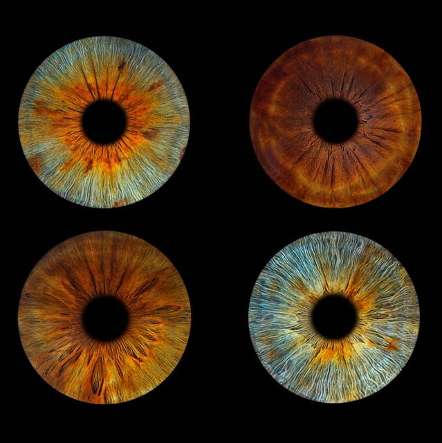 Paris: Professional Iris Photography With a Framed Print - Key Points