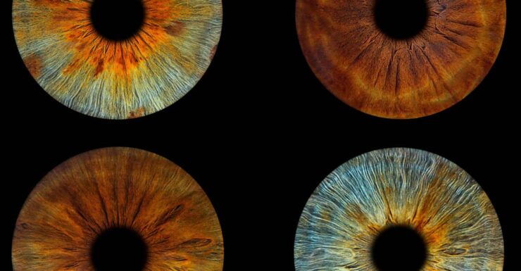 Paris: Professional Iris Photography With a Framed Print - Pricing and Duration