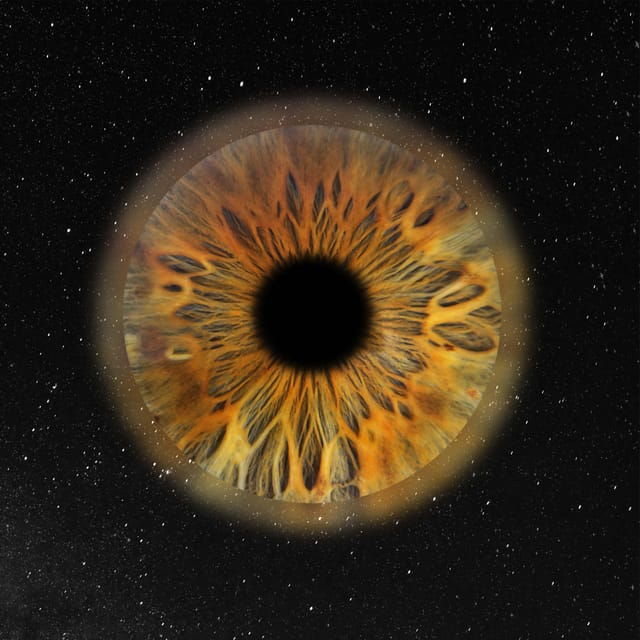 Paris: Professional Iris Photography With a Framed Print - Unique Photography Experience