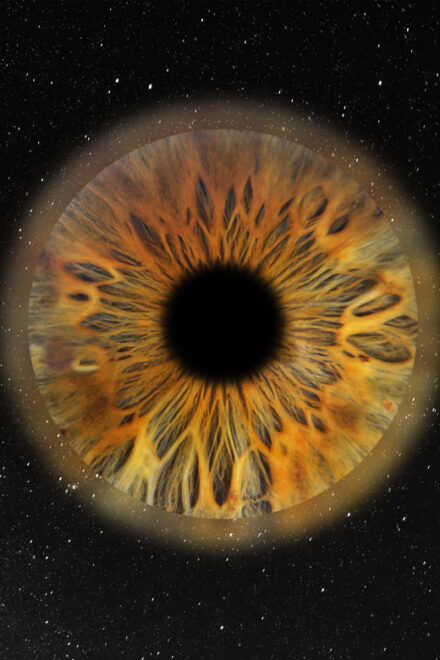 Paris: Professional Iris Photography With a Framed Print - Printing and Framing Options