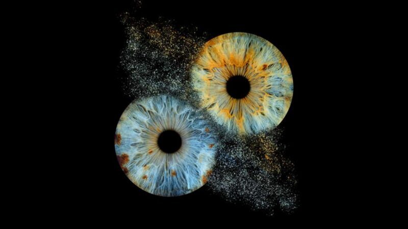 Paris Rivoli: Reveal the beauty of your iris with Iris Galerie - Good To Know