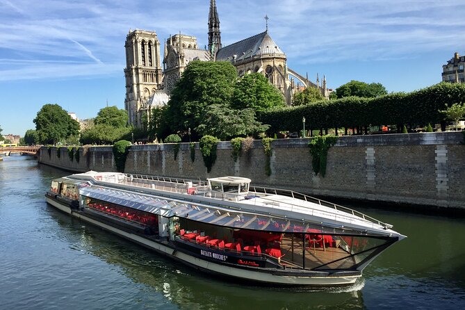 Paris Seine River Lunch Cruise by Bateaux Mouches - Cruise Overview and Details