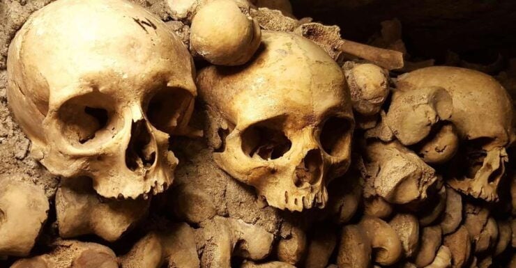 Paris: Skip-the-Line Catacombs Tour and Seine River Cruise - Tour Details