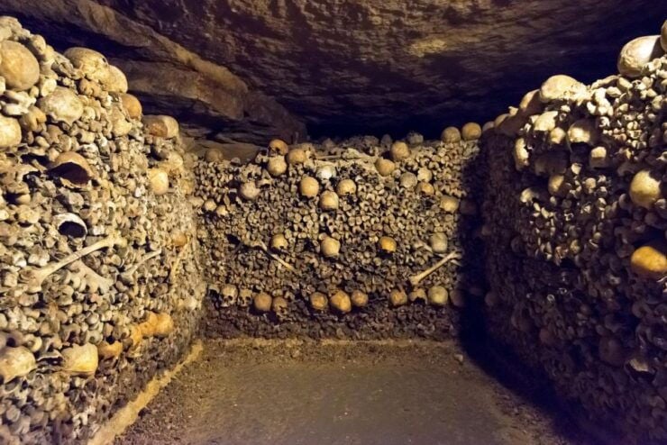 Paris: Skip-the-Line Catacombs Tour and Seine River Cruise - Tour Experience