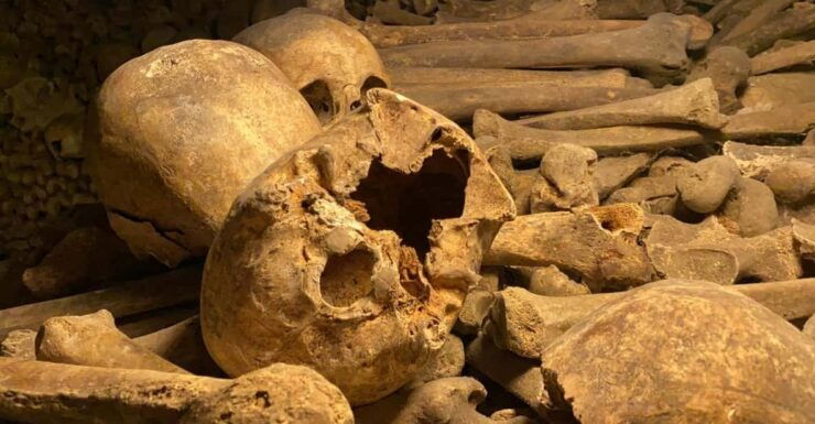 Paris: Small-Group Catacombs Tour With Skip-The-Line Entry - Experience Highlights