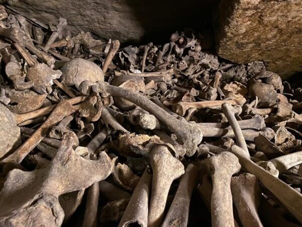 Paris: Small-Group Catacombs Tour With Skip-The-Line Entry - Practical Information