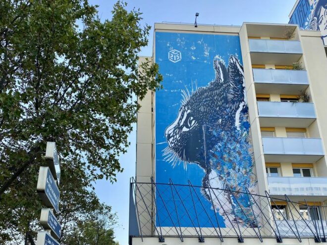 Paris: Street Art Smartphone Audio-Guided Tour - Select Participants and Date
