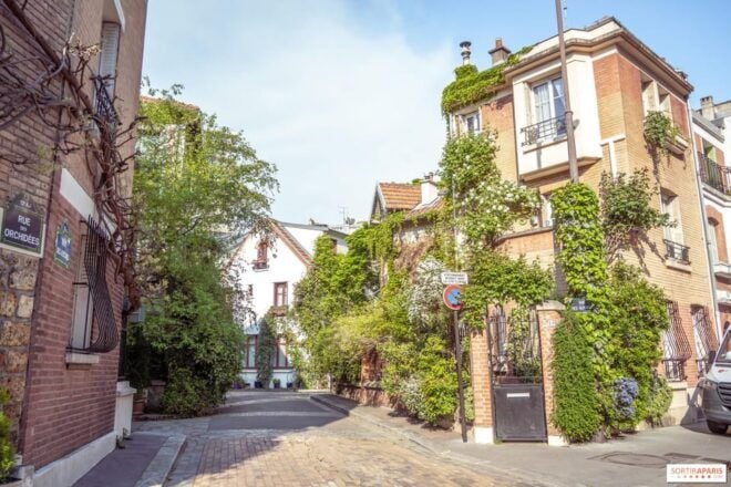 Paris Street Art Walking Tour & Hidden Villages of the 13TH - Tour Inclusions