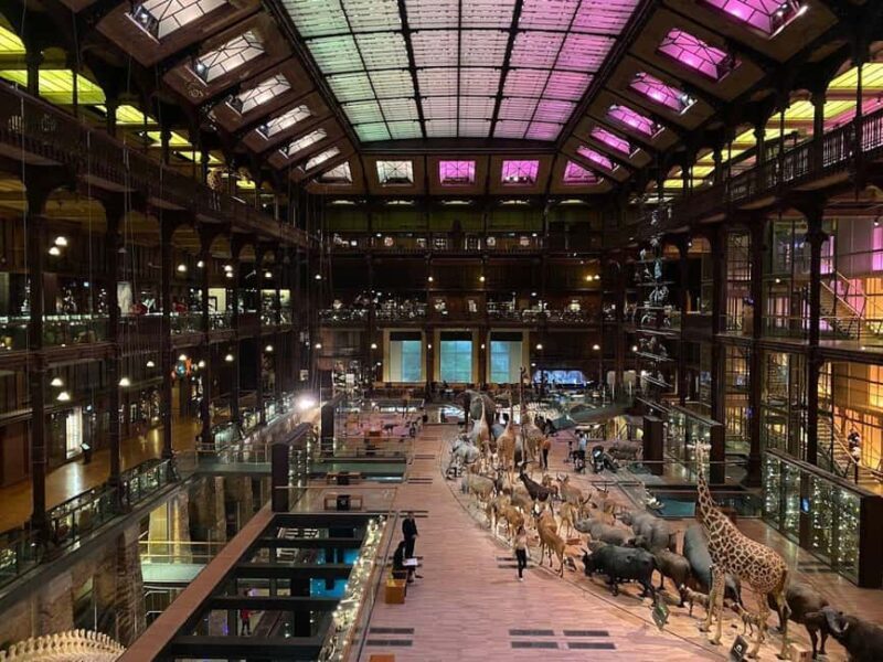 Paris: the Grande Galerie Ticket & Digital City Walk - Practical Details and Logistics
