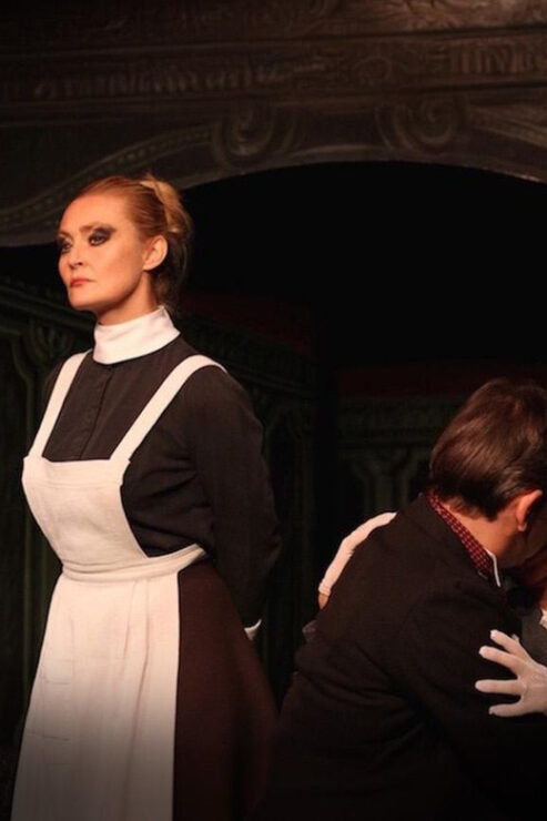 Paris: Theatre Package, The Lesson & The Bald Soprano - Show Descriptions