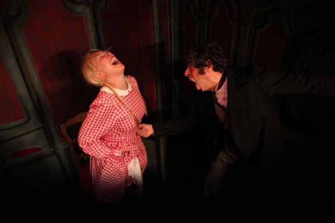 Paris: Theatre Package, The Lesson & The Bald Soprano - Accessibility Features