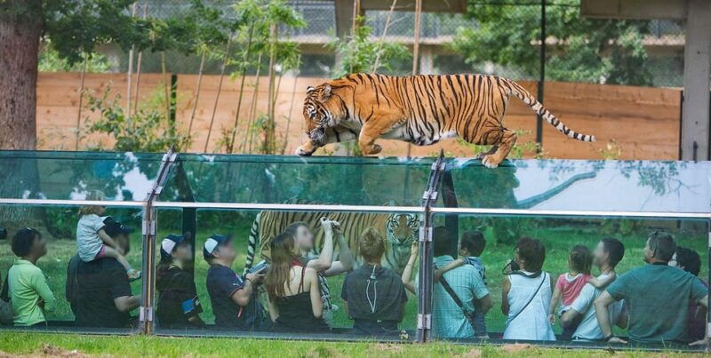 Paris: Thoiry Castle and Safari Park Private Tour - Good To Know