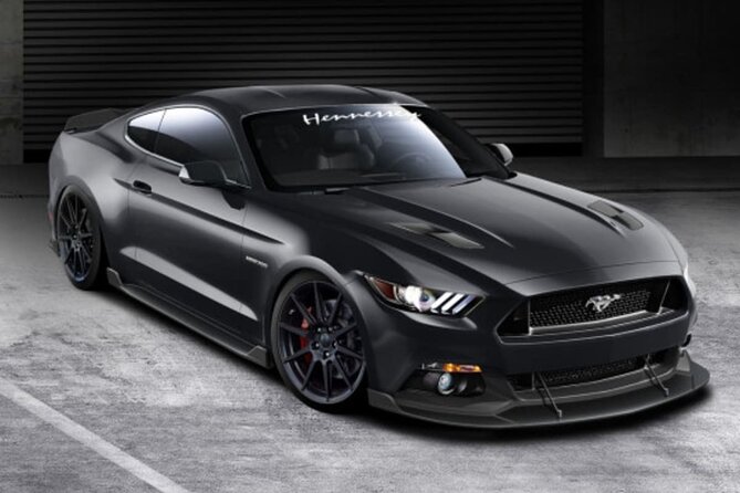 Paris to Deauville Private Transfer - Benefits of a Private Transfer