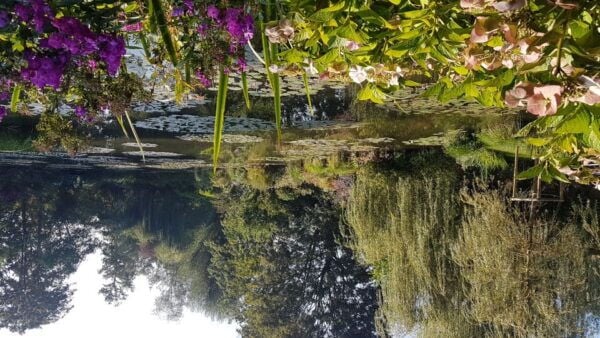 Paris to Giverny Private Tour Monet Gardens House - Itinerary
