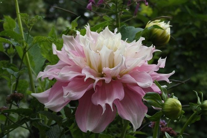 Paris to Giverny Round-Trip Transfer With Skip-The-Line Ticket - Cancel 24H Prior & Full Refund - Pricing and Booking Details