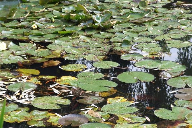 Paris to Giverny Round-Trip Transfer With Skip-The-Line Ticket - Cancel 24H Prior & Full Refund - The Sum Up