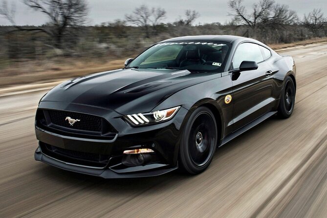 Paris to Lourdes One Way Private Transfer - Factors Affecting the Price