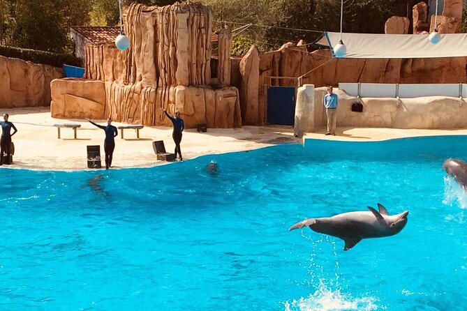 Paris to Parc Asterix : Round-trip Private Transfers - Common Questions