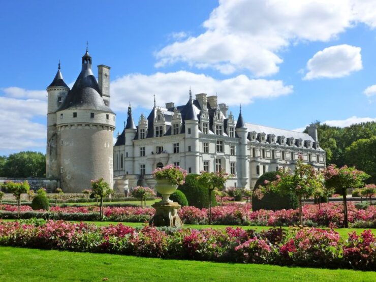 Paris: Top Loire Castles With Lunch and Wine - Exploring the Wine Domain: Loire Valleys Wineries