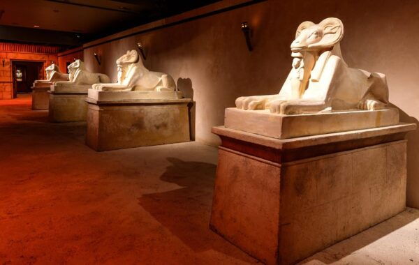 Paris: TUTANKHAMUN THE PHARAONIC IMMERSIVE EXPERIENCE - Questions You May Have