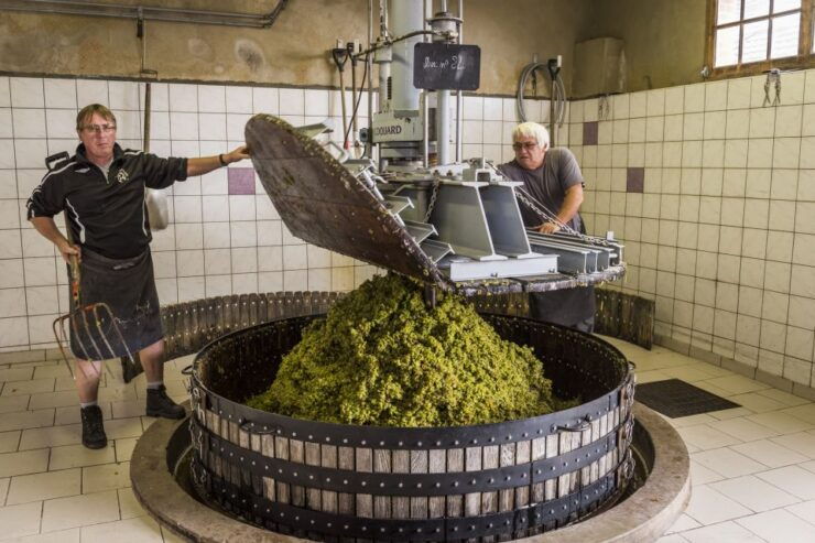 Paris: Two Reims Champagne Vineyards With Tastings and Lunch - Experience Highlights