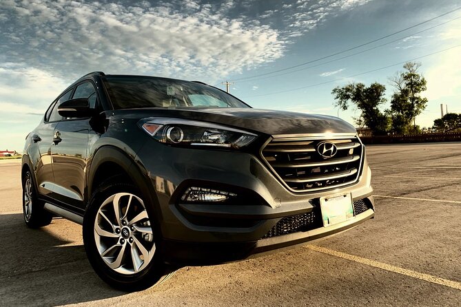 Paris Two Way Private Return Transfers to Disneyland - Assistance and Support