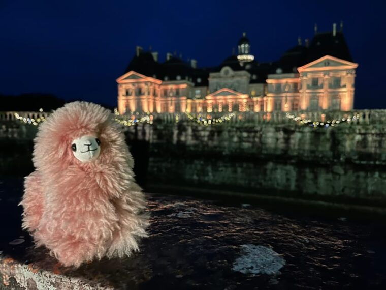Paris: Vaux-le-Vicomte Private Guided Tour - Booking Details and Cancellation Policy