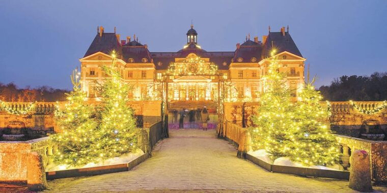 Paris: Vaux-le-Vicomte Private Guided Tour - Experience Highlights During the Visit