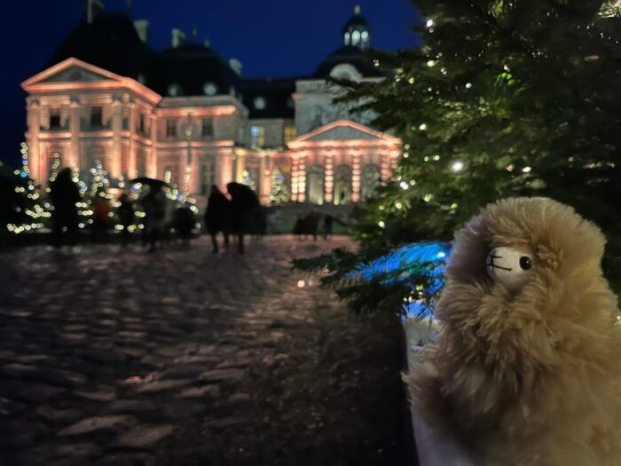 Paris: Vaux-le-Vicomte Private Guided Tour - Accessibility Features