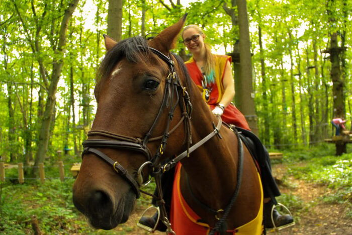 Paris: Viarmes Sherwood Parc Entry Ticket - Contact and Booking Information