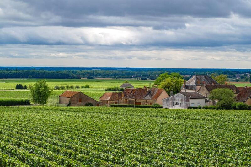 Paris VIP: Burgundy Wine Region Chauffeur Driven Tour 14 Hrs - Itinerary Highlights