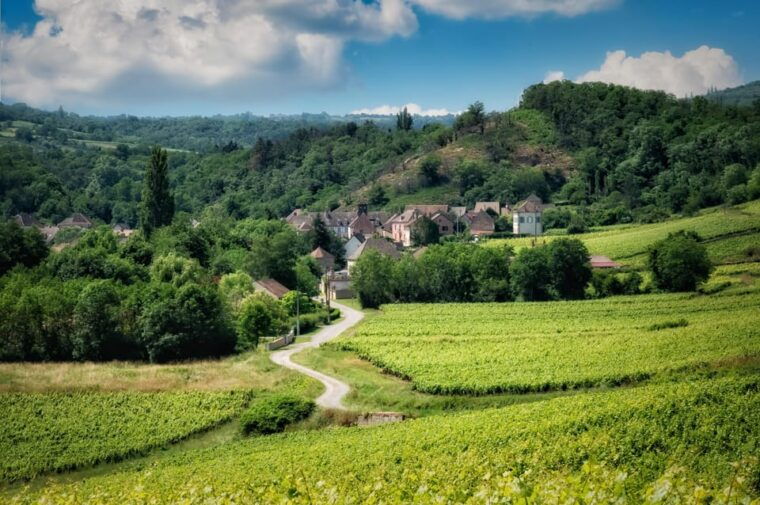 Paris VIP: Burgundy Wine Region Chauffeur Driven Tour 14 Hrs - Important Information